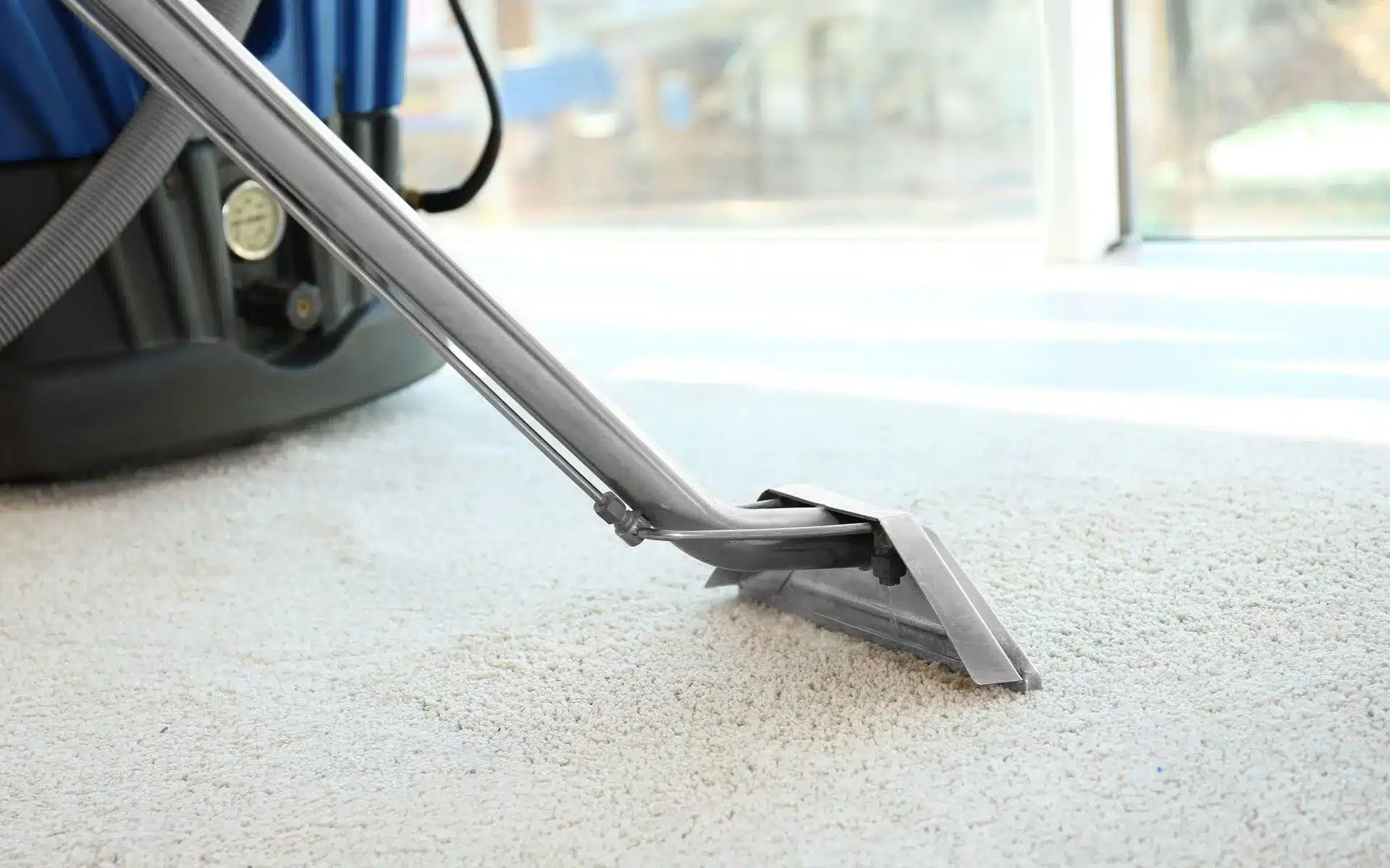 Curated visual reference: Picture Idea: Same Day Carpet Cleaning Service In Sterling Heights