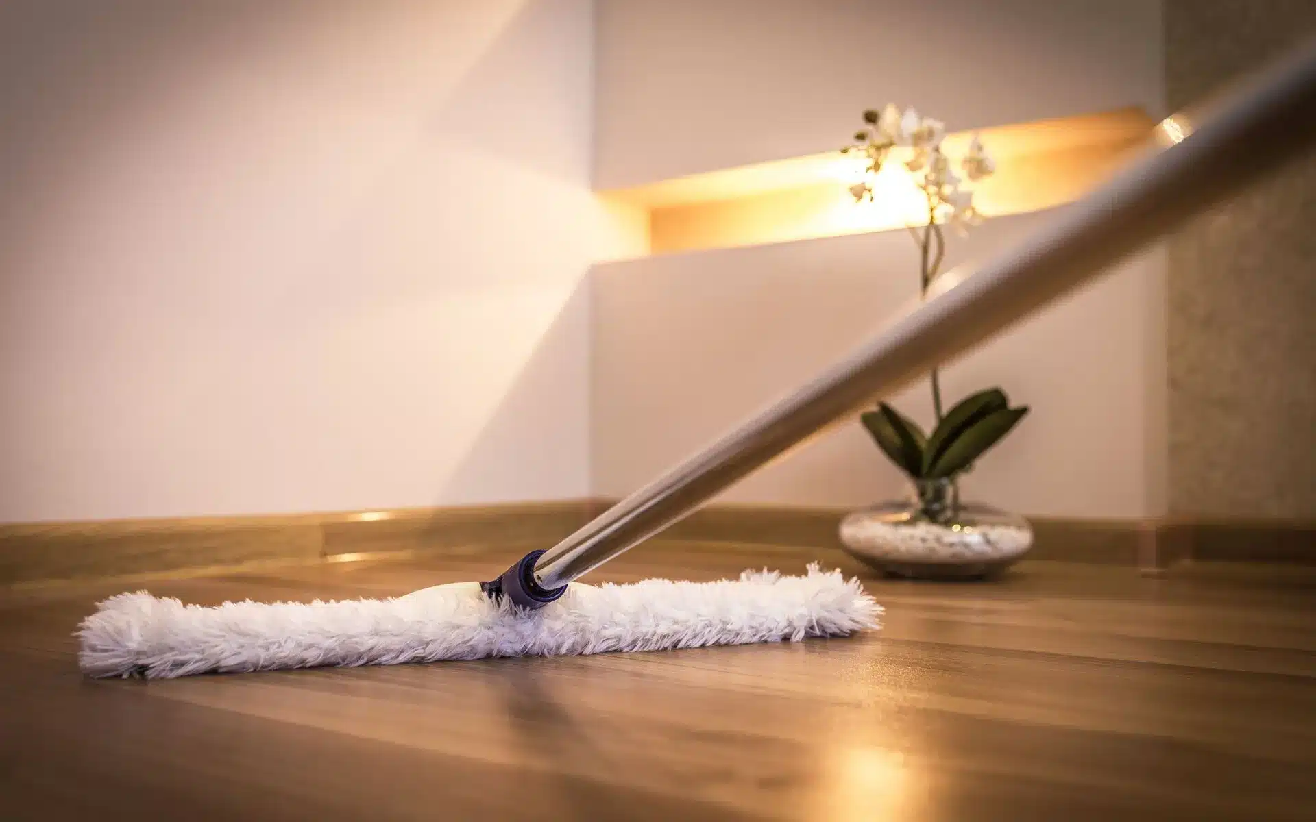 cleaning service in Michigan