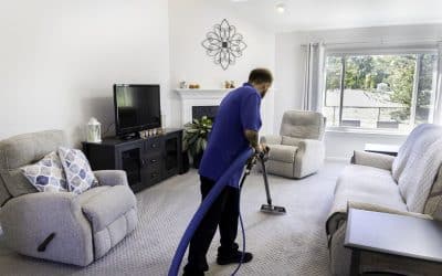 What Is the Best Homemade Solution for Carpet Cleaner? Powerful DIY Tips That Work