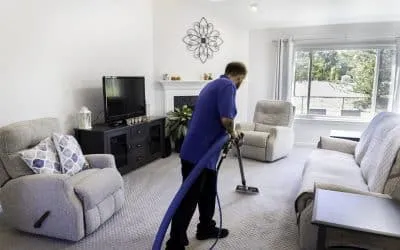What Is the Best Homemade Solution for Carpet Cleaner? Powerful DIY Tips That Work