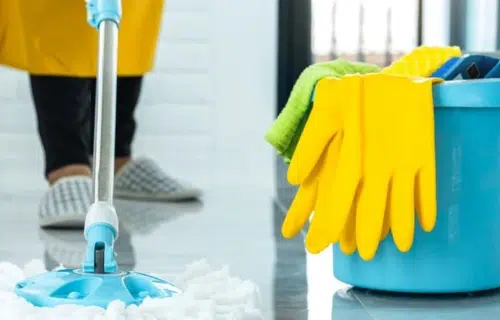 rug and carpet cleaning service by dolls cleaning in Michigan