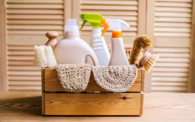 Best Eco-Friendly Cleaning Products for Your Michigan Home
