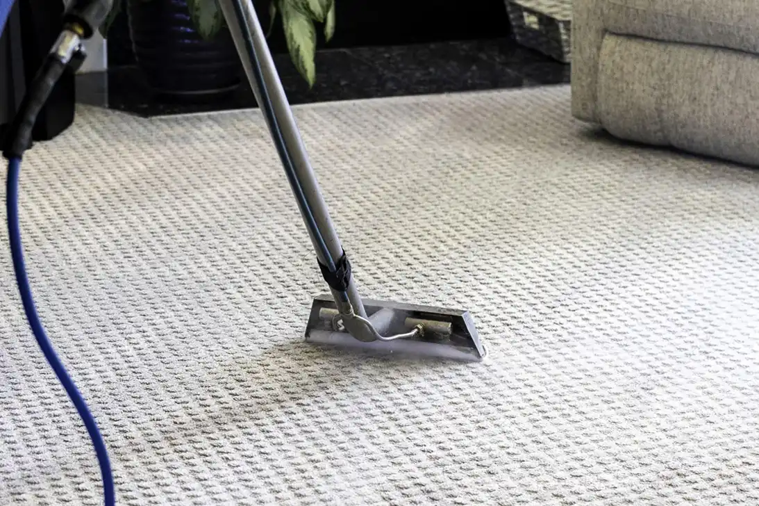 carpet cleaning dolls michigan