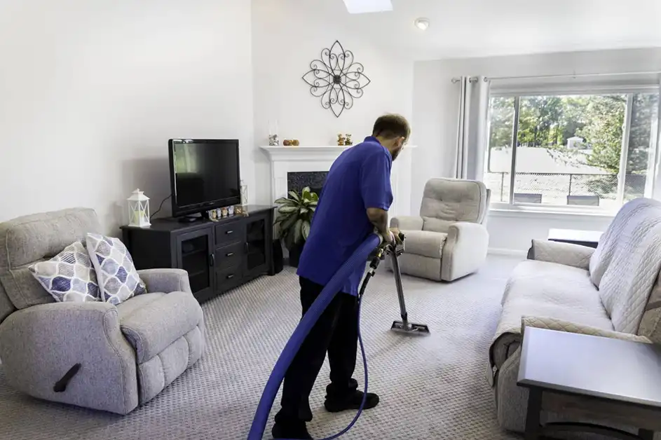 dolls-carpet cleaning-service michigan